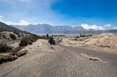 Bromo Tengger Semeru Ulusal Parkı, Doğu Java, Endonezya