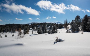 Altay 'daki Ulagan Dağları' nın kışın manzarası, Sibirya, Rusya