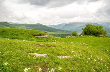 Rusya 'nın Karachay-Çerkesya Cumhuriyeti' ndeki Bermamyt Platosu 'nun panoramik manzarası
