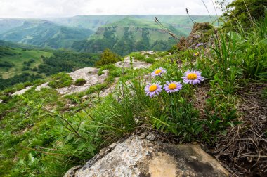 Rusya 'nın Karachay-Çerkesya Cumhuriyeti' ndeki Kafkas dağlarının panoramik manzarası