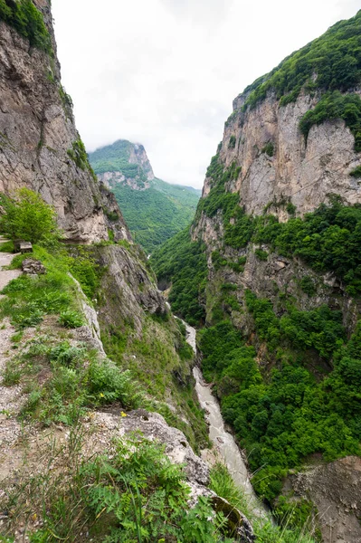 Vista Desfiladeiro Cherek Nas Montanhas Cáucaso Kabardino Balkaria Rússia Imagens De Bancos De Imagens
