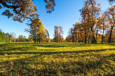 Tsarskoye Selo 'daki şehir parkı manzarası (Puşkin), Saint- Petersburg, Rusya