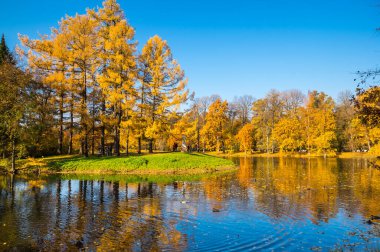 Elagin adasındaki şehir parkı manzarası, SaintPetersburg, Rusya