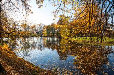 Elagin adasındaki şehir parkı manzarası, SaintPetersburg, Rusya