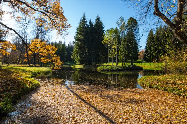 Άποψη Του Πάρκου Της Πόλης Στο Tsarskoye Selo Pushkin Αγία — Φωτογραφία Αρχείου