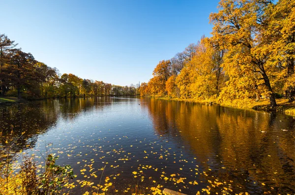 Veduta Del Parco Urbano Sull Isola Elagin San Pietroburgo Russia — Foto Stock