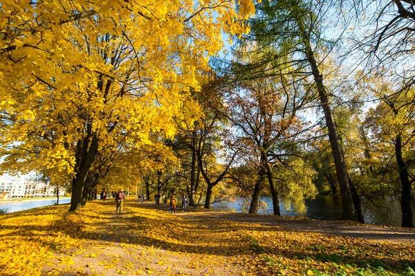 Vista Del Parque Ciudad Isla Elagin San Petersburgo Rusia —  Fotos de Stock