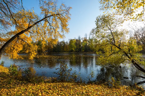 Elagin Adasındaki Şehir Parkı Manzarası Saintpetersburg Rusya — Stok fotoğraf