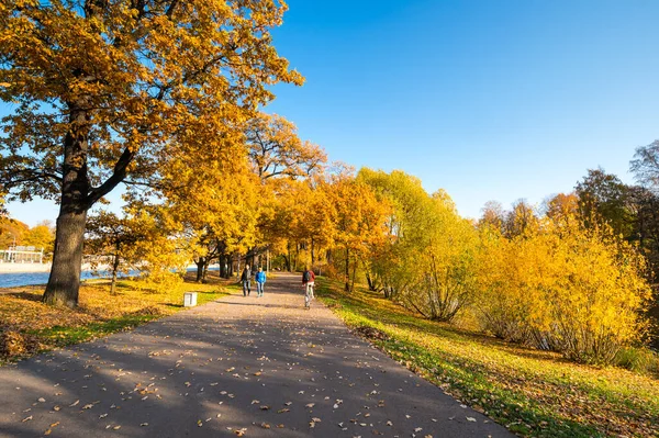 Uitzicht Stadspark Het Eiland Elagin Sint Petersburg Rusland — Stockfoto