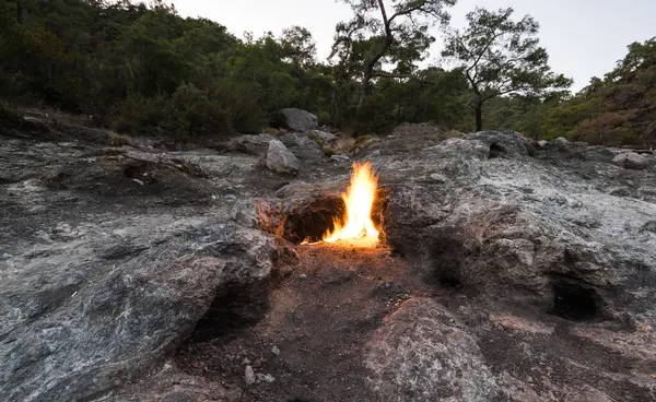 Flames of Mount Chimaera from the underground, Cirali, Turkey