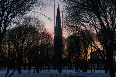 Saint-Petersburg parkı, Finlandiya Körfezi kıyısındaki Saint-Petersburg, Rusya