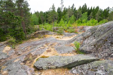 Karelia, Rusya 'daki Hiidenvuori Dağı' nın manzarası.