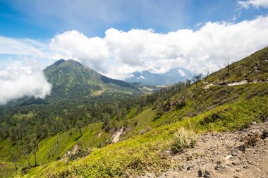 Doğu Java, Endonezya 'daki Ijen volkanının yamacı