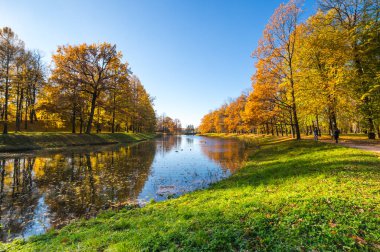 Tsarskoye Selo 'daki şehir parkı manzarası (Puşkin), Saint- Petersburg, Rusya