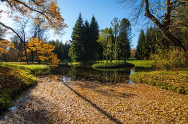 Tsarskoye Selo 'daki şehir parkı manzarası (Puşkin), Saint- Petersburg, Rusya