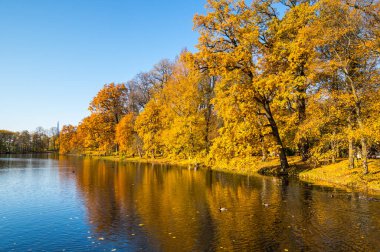 Elagin adasındaki şehir parkı manzarası, SaintPetersburg, Rusya