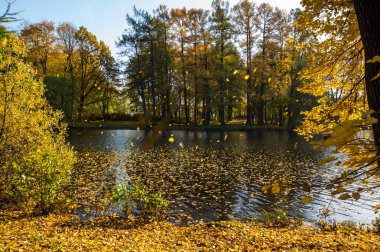 Elagin adasındaki şehir parkı manzarası, SaintPetersburg, Rusya