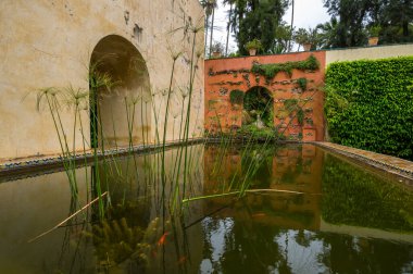 İspanya, Sevilla 'daki Alcazar Sarayı' ndaki bahçe manzarası