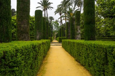İspanya, Sevilla 'daki Alcazar Sarayı' ndaki bahçe manzarası