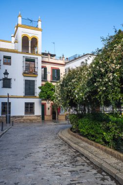SEVILLE, SPAIN - 08 Nisan 2019: İspanya 'nın büyük bir turizm merkezi olan Seville' in tarihi merkezinde sokak manzarası