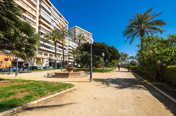 Alicante Spanien April 2019 Blick Auf Die Palmenallee Die Wichtigste — Stockfoto