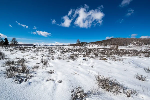 Kilátás Ulagan Highlands Altay Hegyek Télen Szibéria Oroszország — Stock Fotó