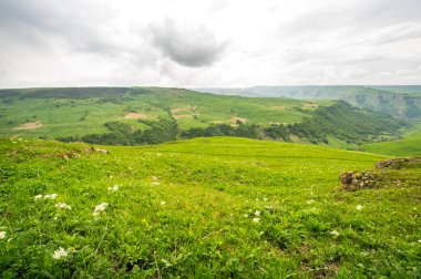 Rusya 'nın Karachay-Çerkesya Cumhuriyeti' ndeki Bermamyt Platosu 'nun panoramik manzarası