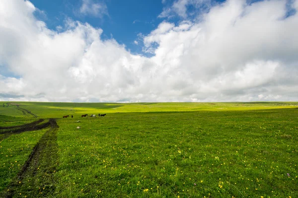 Vista Panorámica Meseta Bermamyt República Karachay Cherkessia Rusia — Foto de Stock