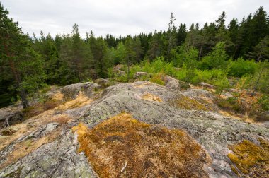 Karelia, Rusya 'daki Hiidenvuori Dağı' nın manzarası.