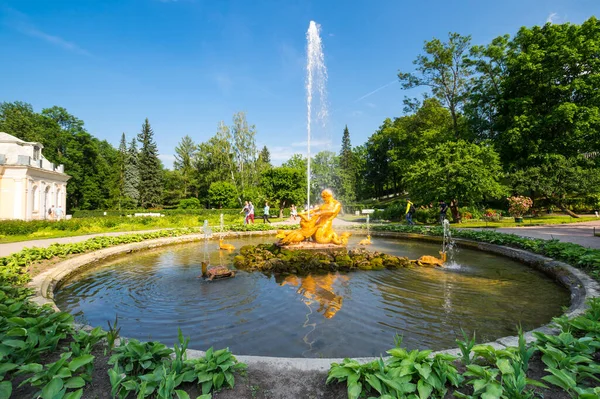 Saint Petersburg ロシア 6月18 2018 ピーターホフの下の庭のトリトン噴水 サンクトペテルブルク ロシア ピーターホフ公園のアンサンブルはユネスコの世界遺産に登録されています — ストック写真