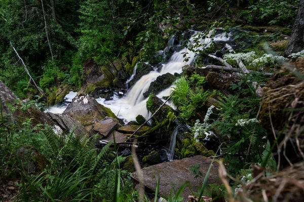 Cachoeira Yukankoski Também Conhecida Como Pontes Brancas Rio Kulismayoki Rússia — Fotografia de Stock