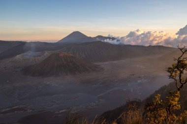 Bromo Tengger Semeru Ulusal Parkı Doğu Java, Endonezya