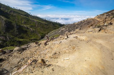Doğu Java, Endonezya 'daki Ijen volkanının yamacı