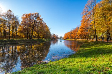 Tsarskoye Selo 'daki şehir parkı manzarası (Puşkin), Saint- Petersburg, Rusya