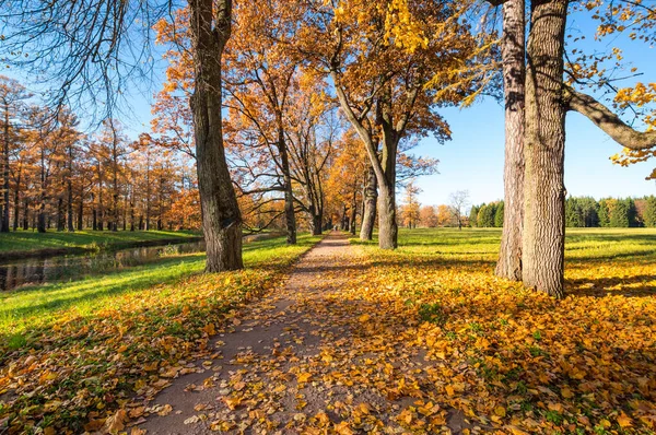 Vista Del Parque Ciudad Tsarskoye Selo Pushkin San Petersburgo Rusia —  Fotos de Stock