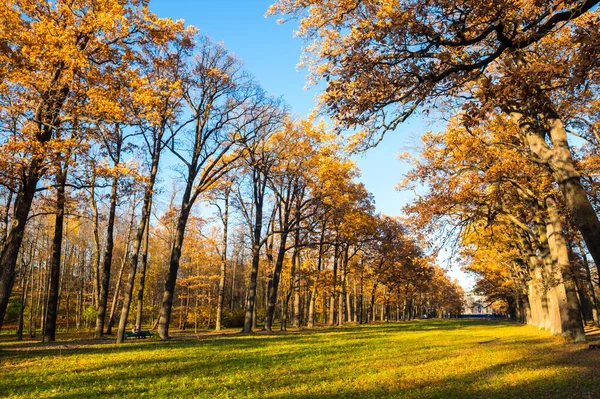 Vista Del Parque Ciudad Tsarskoye Selo Pushkin San Petersburgo Rusia — Foto de Stock