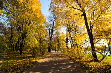 Elagin adasındaki şehir parkı manzarası, SaintPetersburg, Rusya