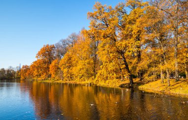 Elagin adasındaki şehir parkı manzarası, SaintPetersburg, Rusya