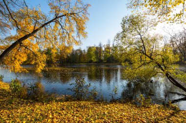 Elagin adasındaki şehir parkı manzarası, SaintPetersburg, Rusya