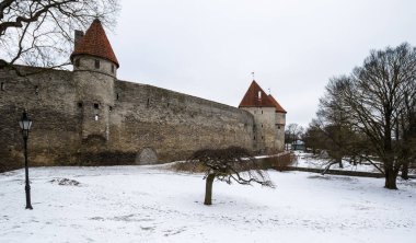 Tallinn Kalesi, Estonya 'nın başkenti. Eski Şehir UNESCO Dünya Mirasları Listesinde yer aldı
