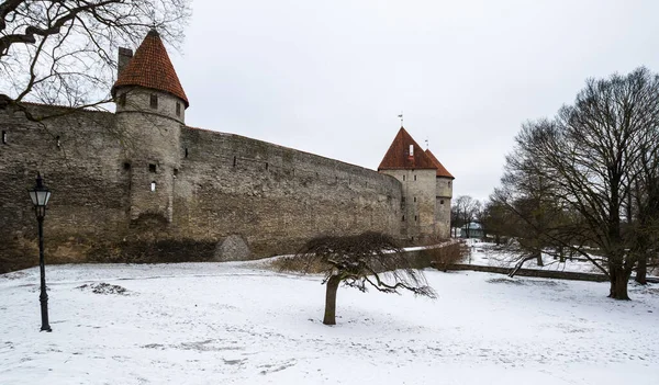 Zamek Starej Tallinie Stolicy Estonii Stare Miasto Jest Wpisane Listę — Zdjęcie stockowe