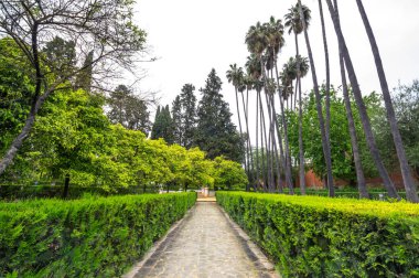 İspanya, Sevilla 'daki Alcazar Sarayı' ndaki bahçe manzarası