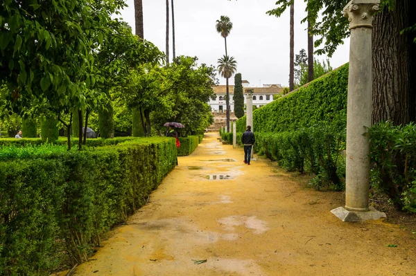 İspanya, Sevilla 'daki Alcazar Sarayı' ndaki bahçe manzarası