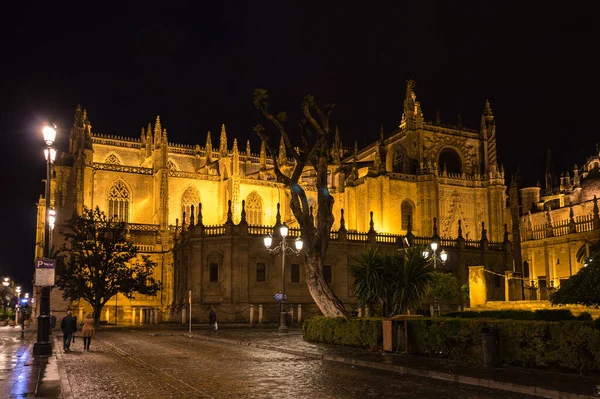 Kathedraal Beter Bekend Als Kathedraal Van Sevilla Een Kathedraal Sevilla — Stockfoto