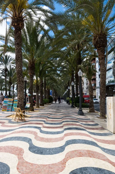 Alicante España Abril 2019 Vista Del Callejón Las Palmeras Principal — Foto de Stock