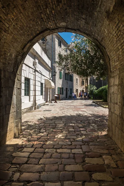 Kotor Montenegro June 2019 View Street Old Town Kotor Montenegro — 图库照片