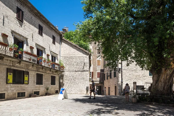 Kotor Montenegro Juni 2019 Zicht Straat Oude Binnenstad Van Kotor — Stockfoto