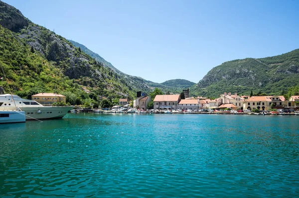 Kotor Montenegro Juni 2019 Panorama Der Bucht Von Kotor Und — Stockfoto