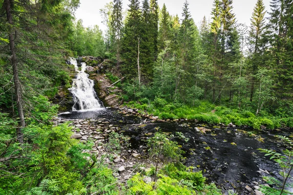 Yukankoski şelalesi (Beyaz Köprüler olarak da bilinir) Kulismayoki nehrinde, Rusya, Karelia