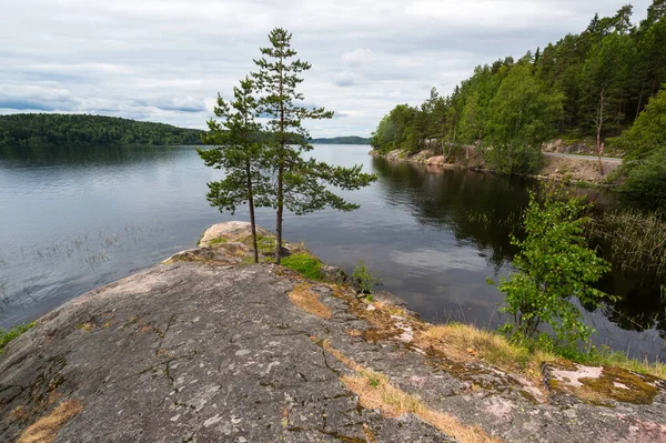 Vista Del Lago República Karelia Rusia — Foto de Stock